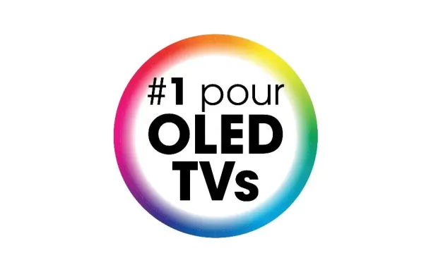 ERARD Support mural inclin 048390